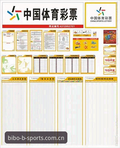 BSports官网与bsports app：专业体育服务体验对比解析